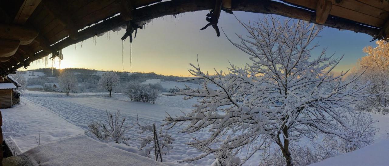 Moja Chata Do Wynajecia Istebna Esterno foto