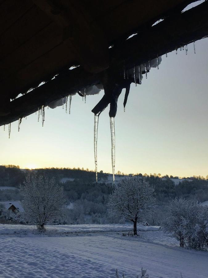 Moja Chata Do Wynajecia Istebna Esterno foto