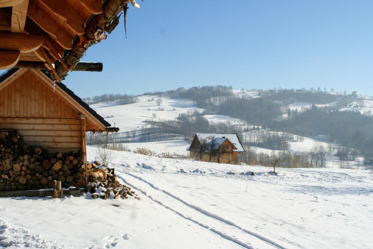 Moja Chata Do Wynajecia Istebna Esterno foto