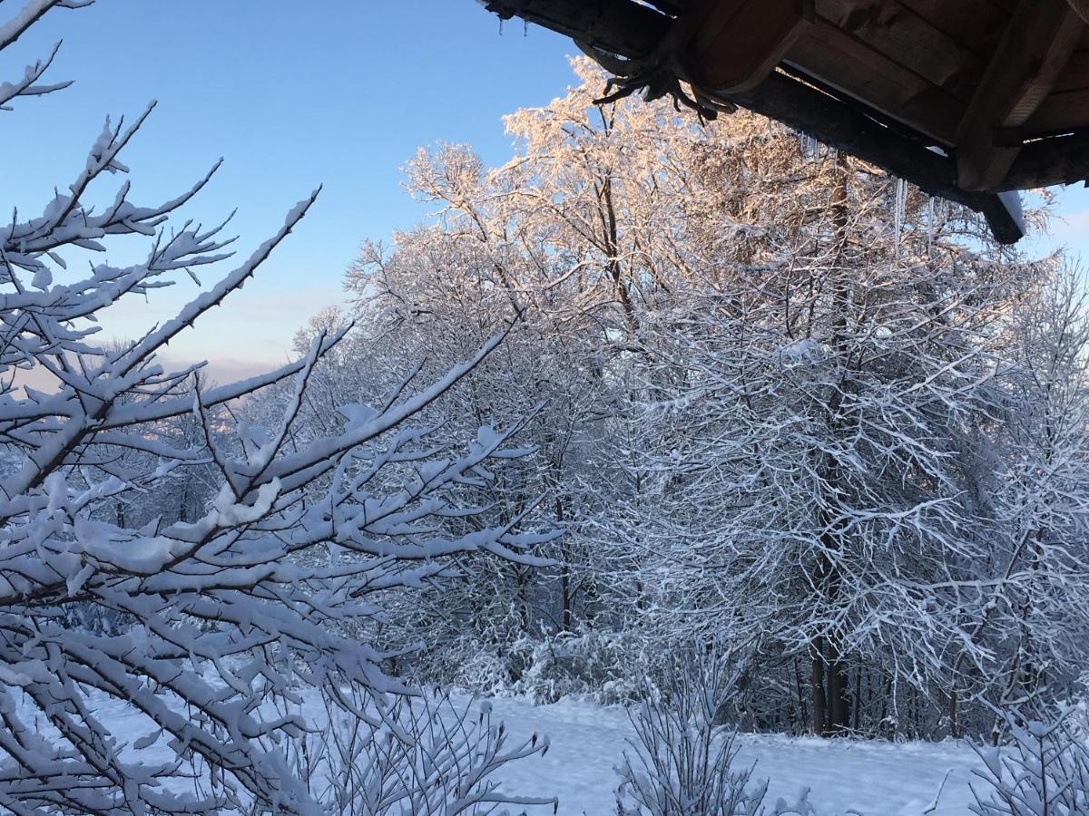 Moja Chata Do Wynajecia Istebna Esterno foto